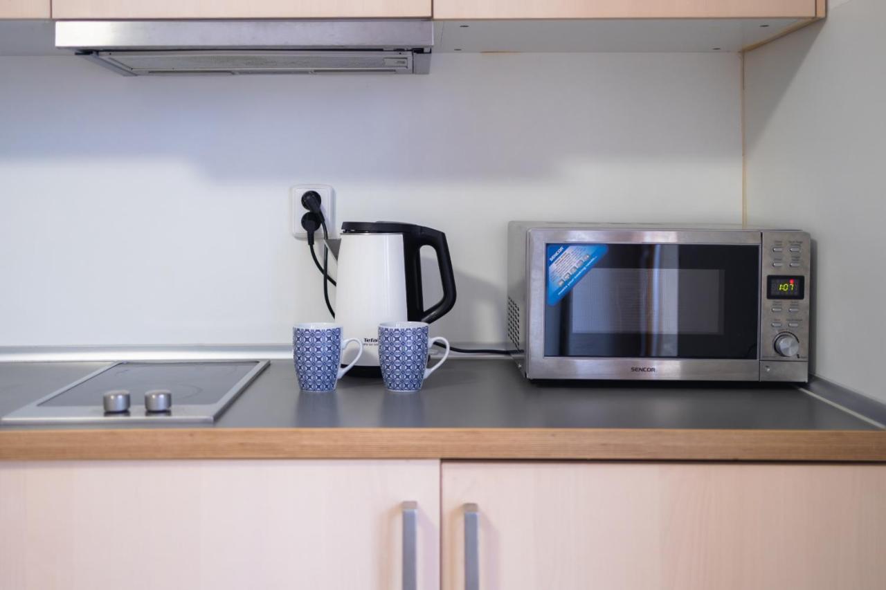 Hajenka Kozlov Apartment ลิโตมิเชล ภายนอก รูปภาพ